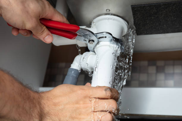 Best Water damage contractors near me  in Ansonia, CT