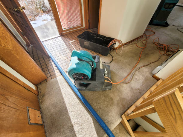 Best Water damage contractors near me  in Ansonia, CT