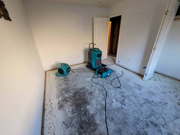 Best Sewage cleanup and water damage restoration  in Ansonia, CT