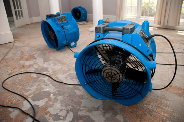 Best Water damage restoration near me  in Ansonia, CT
