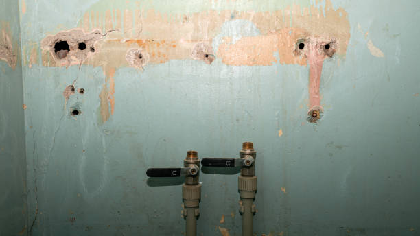 Best Emergency water damage restoration  in Ansonia, CT