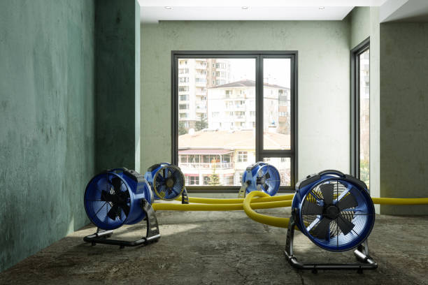 Best Local water damage restoration  in Ansonia, CT